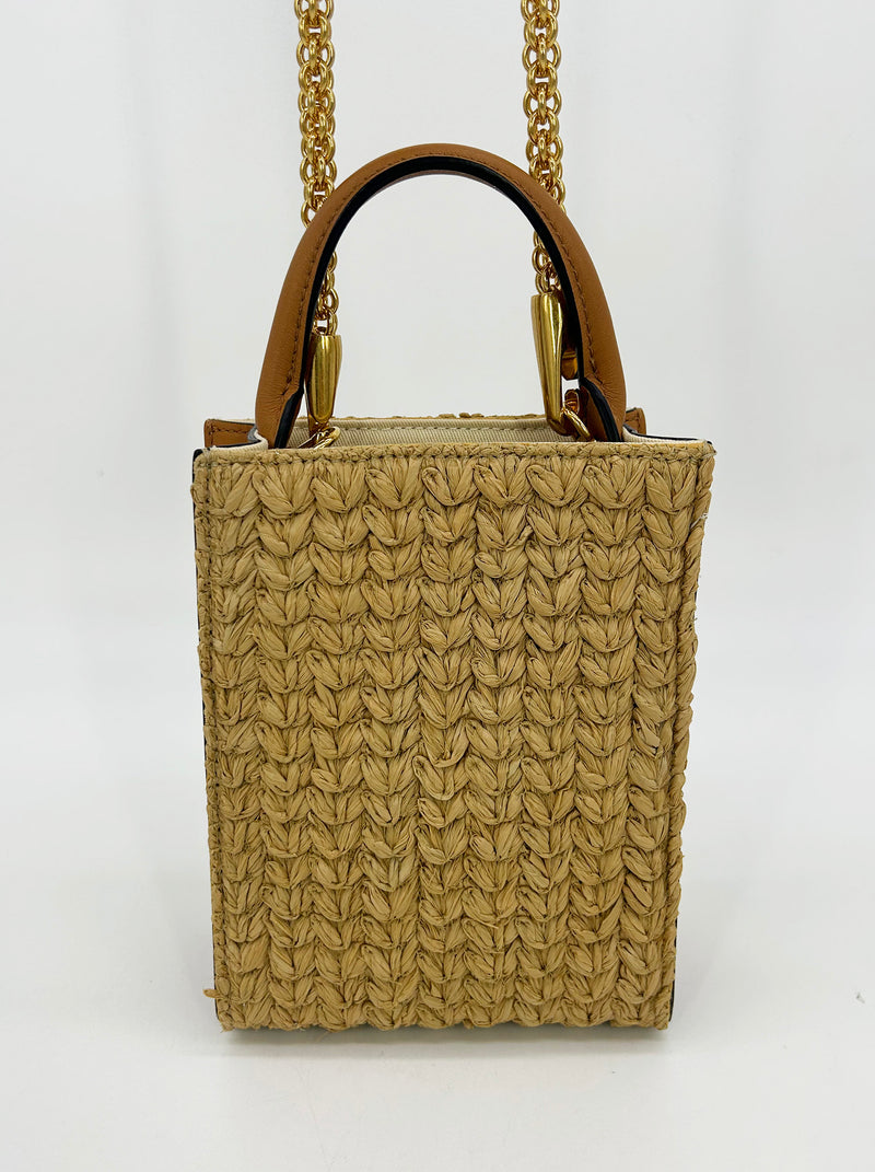 Valentino Vlogo North South Raffia Pouch